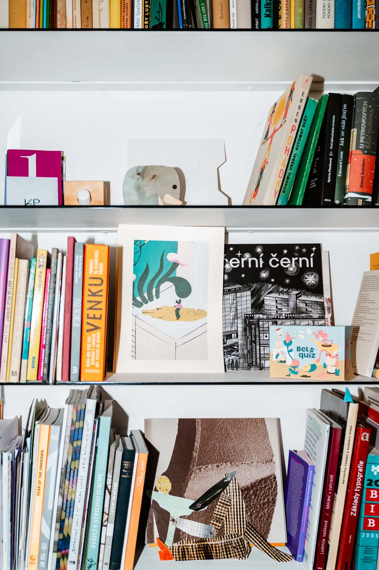 Kateřina Morgenstein