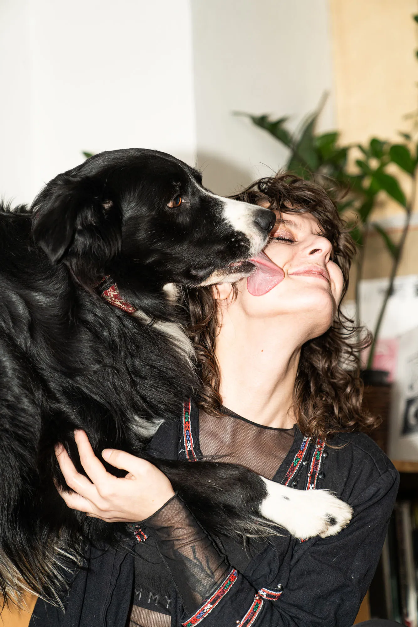 Anarchbeta von Bohemia